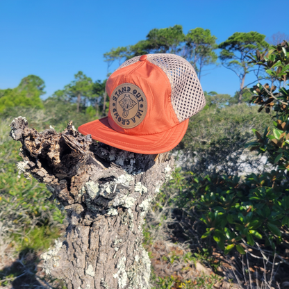 Pumpkin Patch Hat